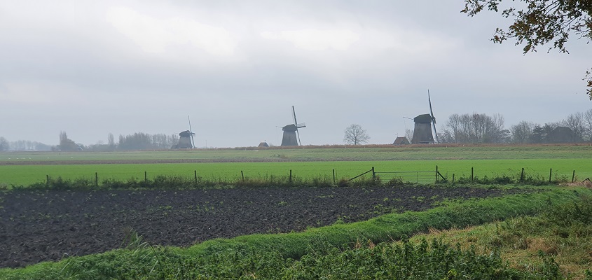 Wandeling over Westfriese Omringdijk van Ursem naar Alkmaar bij de strijkmolens bij Rustenburg