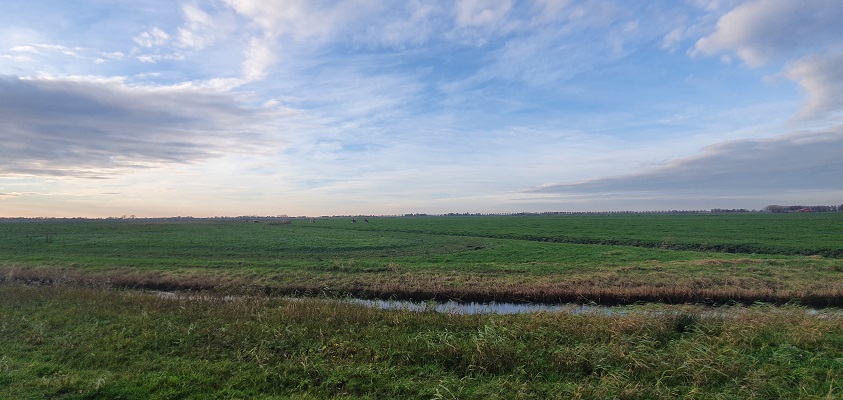 westfriese-omringdijk-ursem-schardam-10 Wandeling over de Westfriese Omringdijk van Ursem naar Schardam