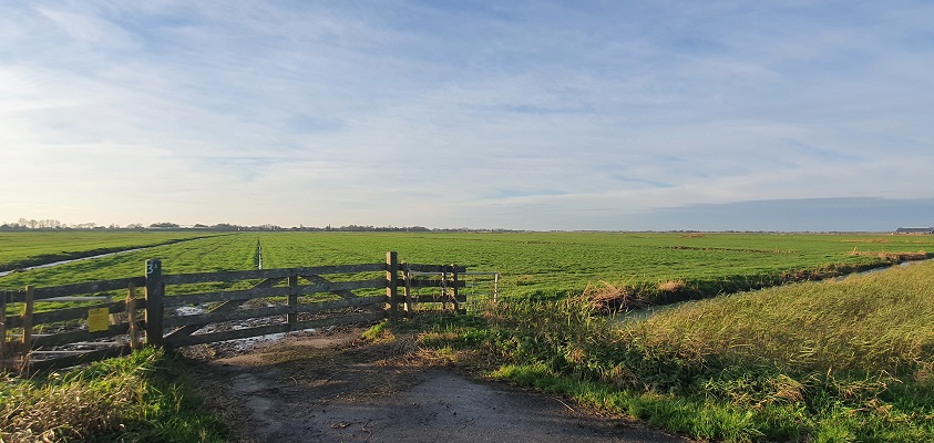 Wandeling over de Westfriese Omringdijk van Ursem naar Schardam
