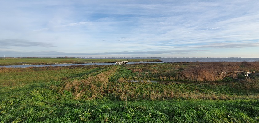 Wandeling over de Westfriese Omringdijk van Ursem naar Schardam met zicht op het Markermeer