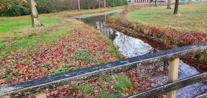 IVN-wandeling Groote Beek Eindhoven