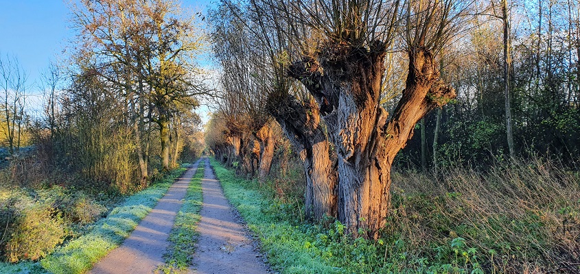 Wandeling over klompenpad Zeegsepad op oude postweg Nijmegen-Arnhem
