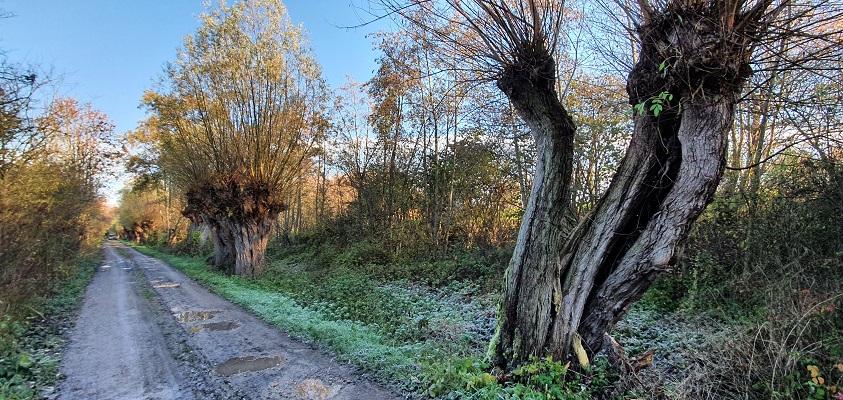 klompenpad-zeegsepad-11 Wandeling over klompenpad Zeegsepad op oude postweg Nijmegen-Arnhem