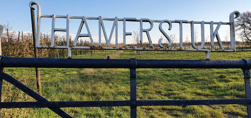 klompenpad-zeegsepad-21 Wandeling over klompenpad Zeegsepad bij Hamerstuk