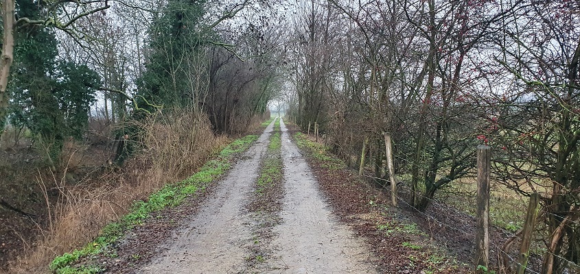 trage-tocht-stevensweert-13 Wandeling over Trage Tocht Stevensweert