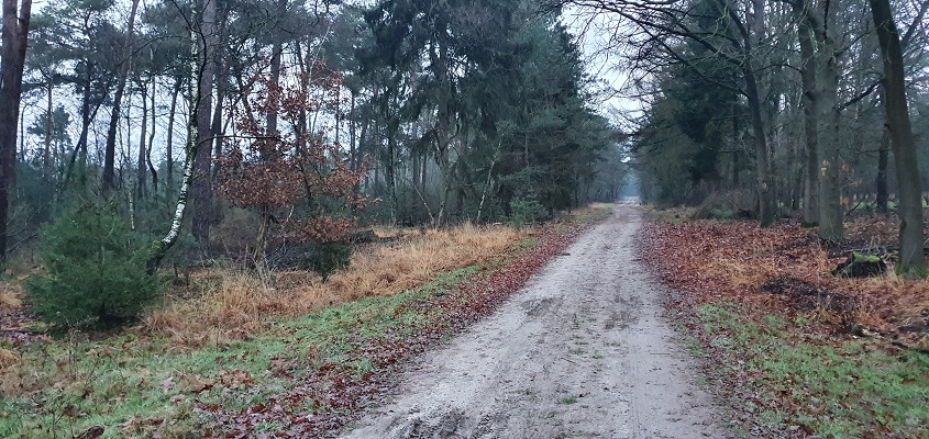 Wandeling over Trage Tocht Stippelberg