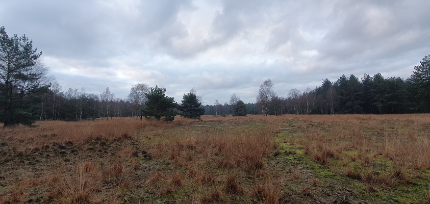 Wandeling over Trage Tocht Stippelberg