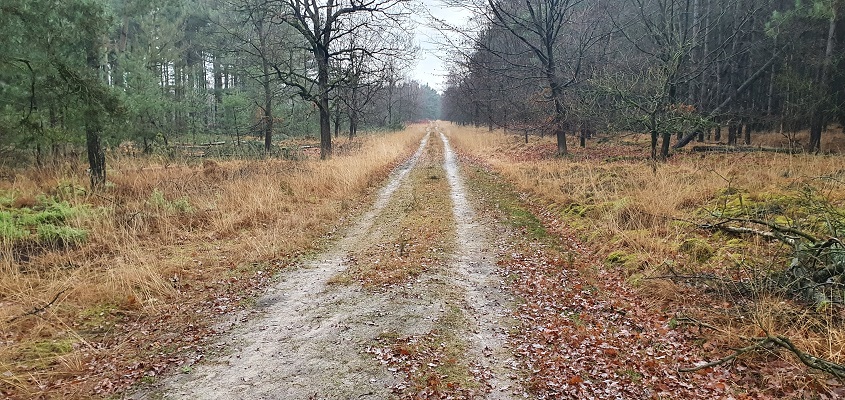 trage-tocht-stippelberg-11