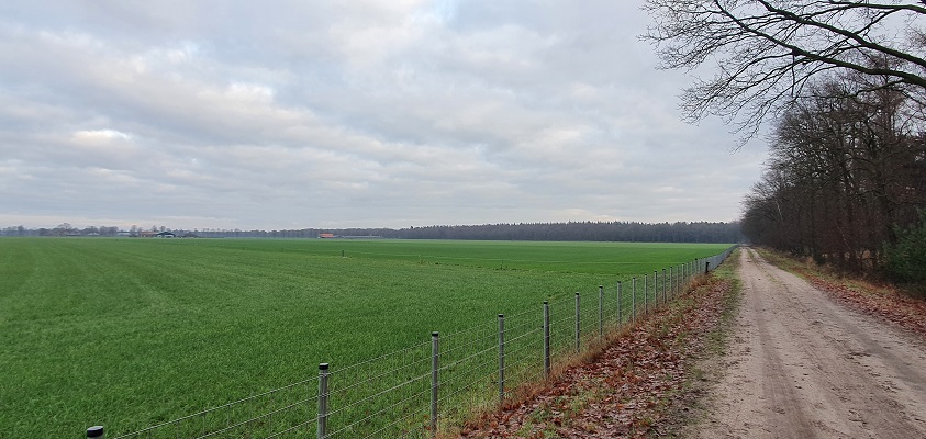 Wandeling over Trage Tocht Stippelberg