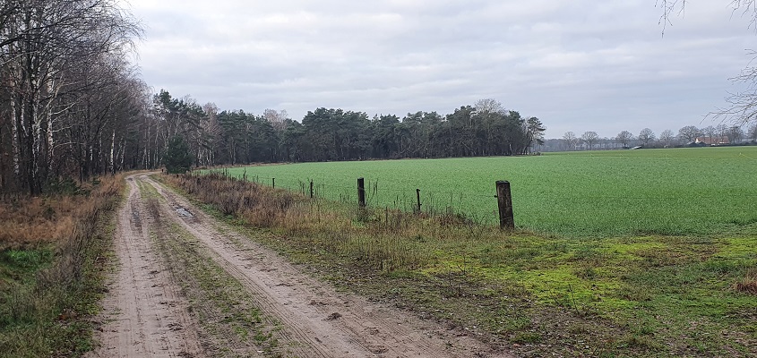 Wandeling over Trage Tocht Stippelberg