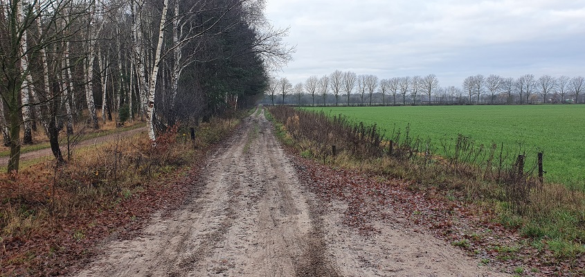 Wandeling over Trage Tocht Stippelberg
