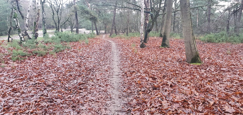 Wandeling over Trage Tocht Stippelberg