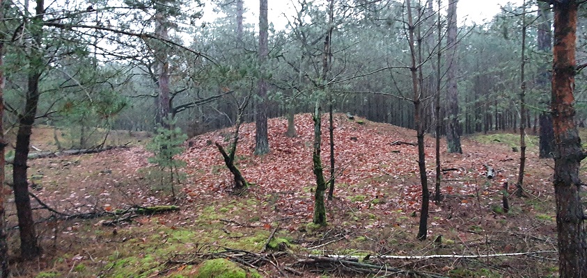 Wandeling over Trage Tocht Stippelberg