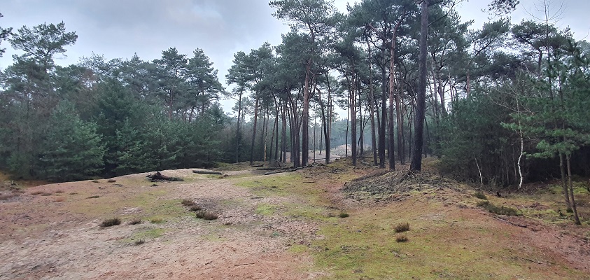 Wandeling over Trage Tocht Stippelberg