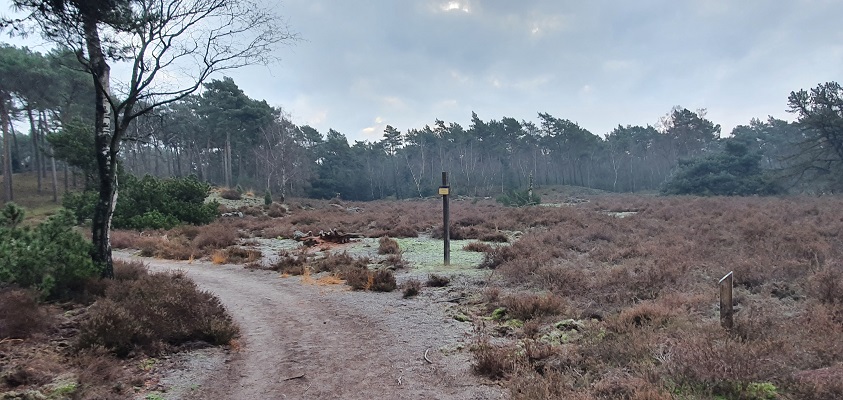 Wandeling over Trage Tocht Stippelberg