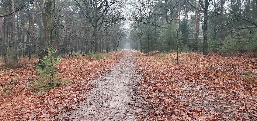 Wandeling over Trage Tocht Stippelberg