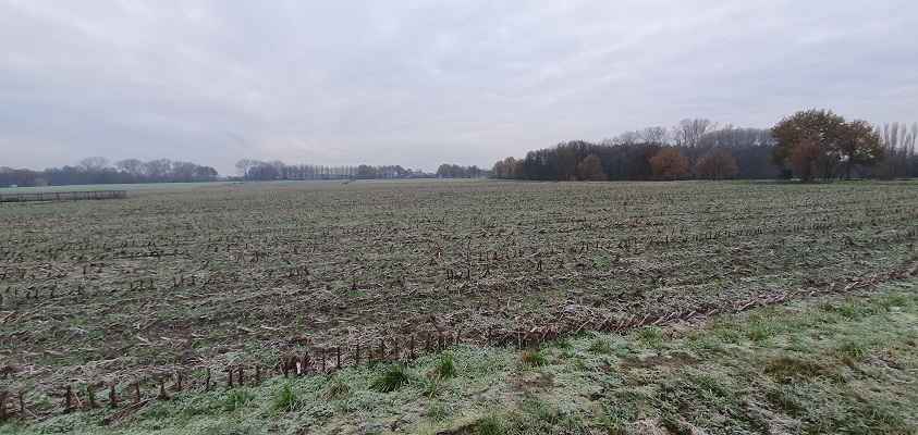 Wandeling op het Loo bij de Maashorstboeren in Uden