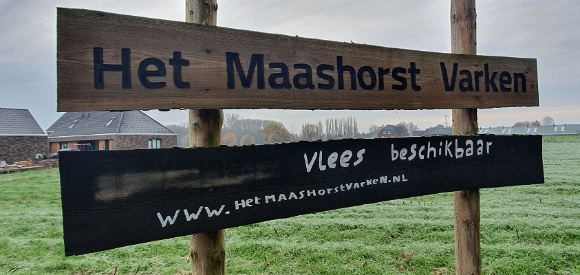Wandeling op het Loo bij de Maashorstboeren in Uden bij de Maashorstvarkens