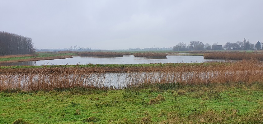 Wandeling over Westfriese Omringdijk van Schagen