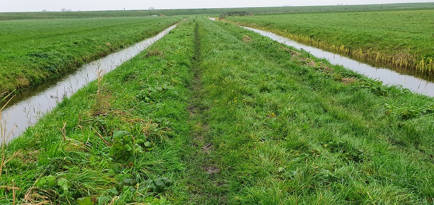 Wandeling over Westfriese Omringdijk van Schagen naar Aartswoud