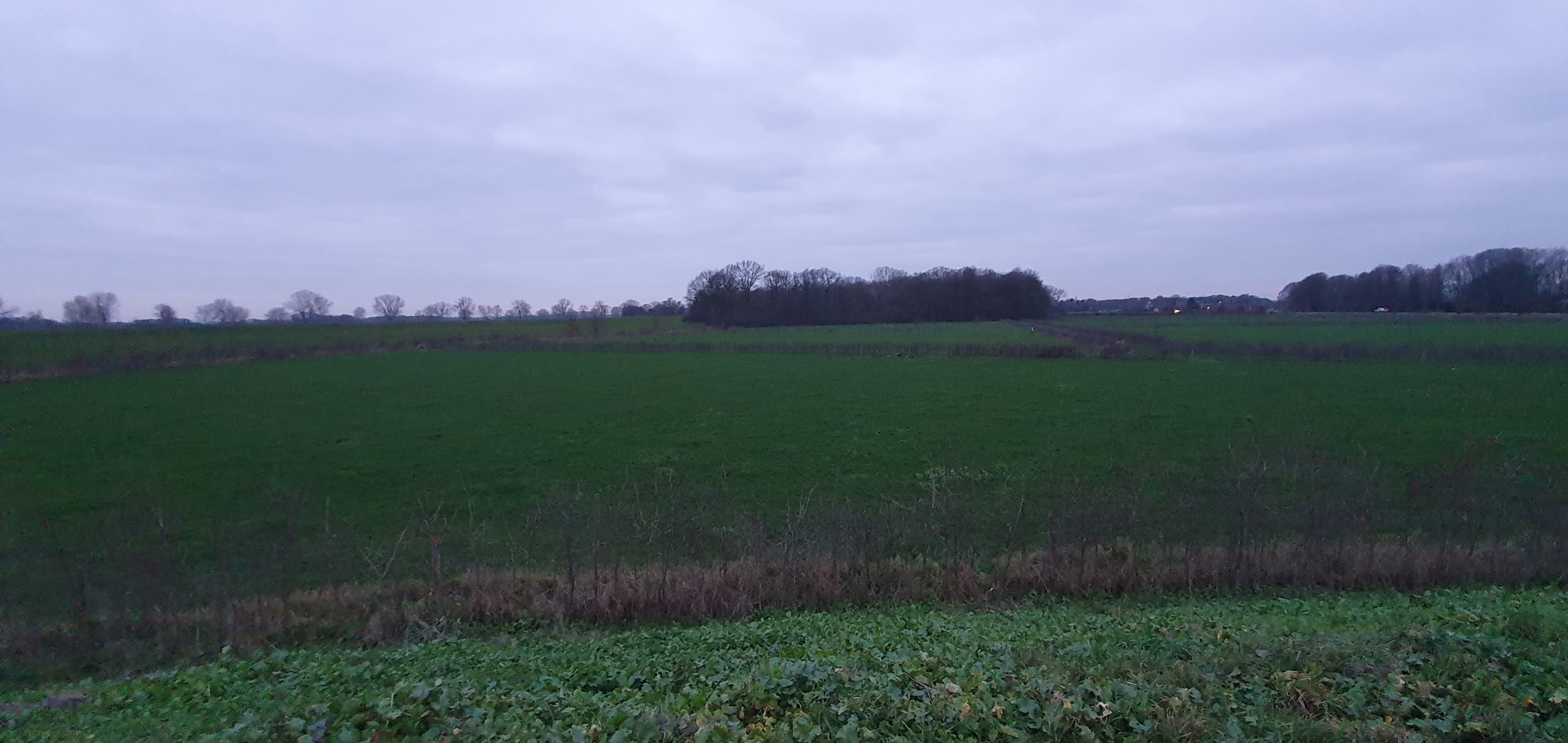 Wandeling over Ommetje Heumen