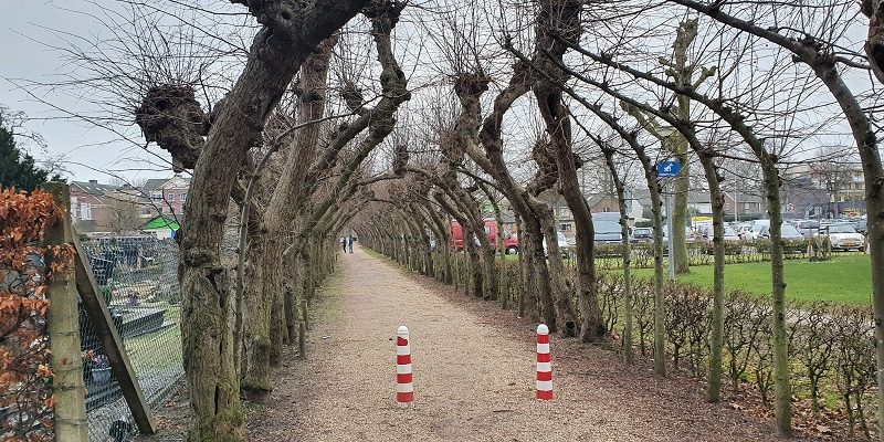 Historische wandeling Wijchen bij het Lindenlaantje op Tienakker