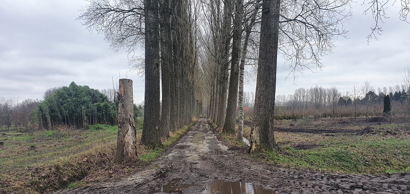 Wandeling over Trage Tocht Gemonde