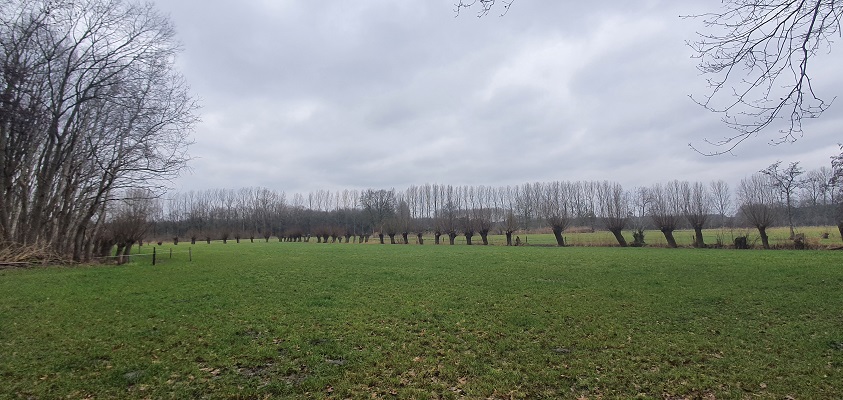 trage-tocht-gemonde-11 Wandeling over Trage Tocht Gemonde