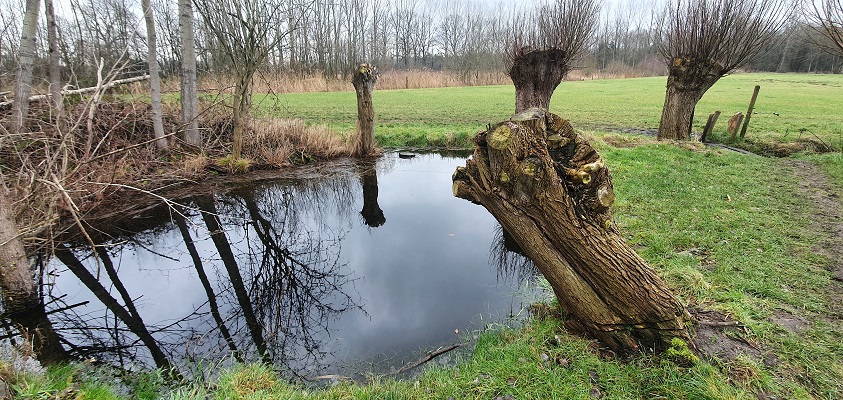 trage-tocht-gemonde-13 Wandeling over Trage Tocht Gemonde