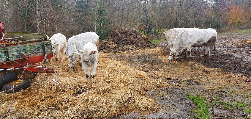 Wandeling over Trage Tocht Gemonde