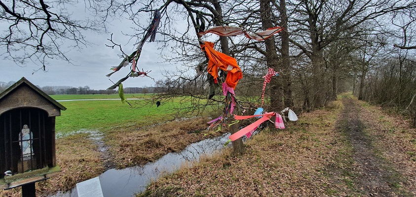 Wandeling over Trage Tocht Gemonde bij de koortsboom