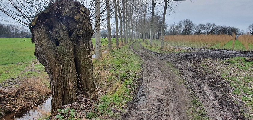 Wandeling over Trage Tocht Gemonde