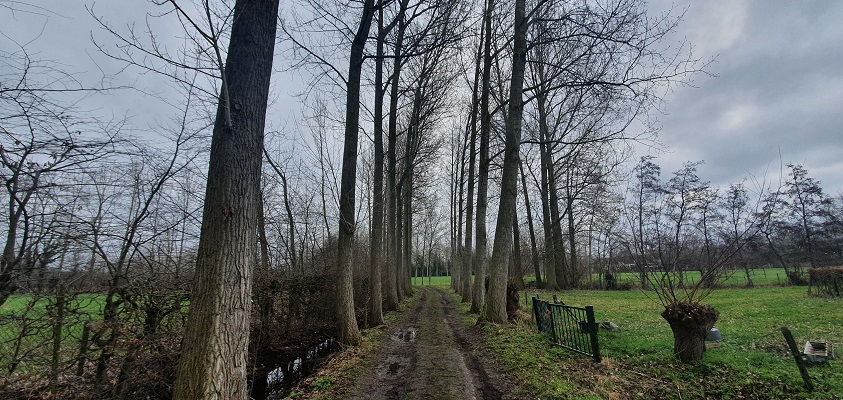 trage-tocht-gemonde-4 Wandeling over Trage Tocht Gemonde bij buurtschap Vossenholen