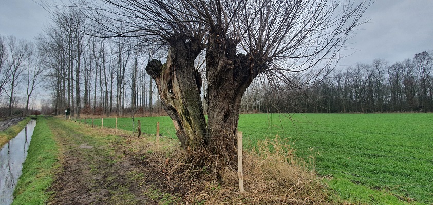 Wandeling over Trage Tocht Gemonde