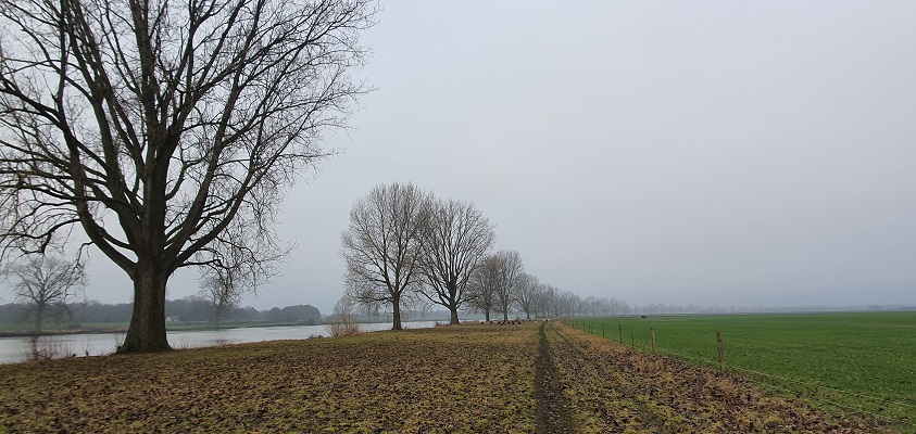 Wandeling over Trage Tocht Nederasselt