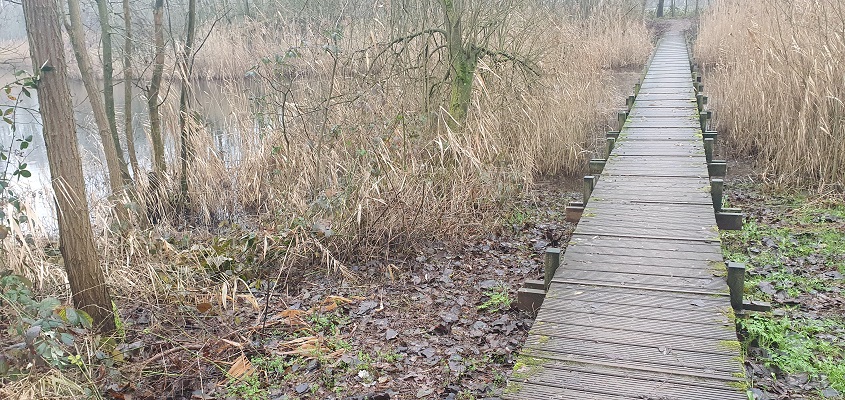 trage-tocht-nederasselt-16 Wandeling over Trage Tocht Nederasselt bij landgoed de Zomp