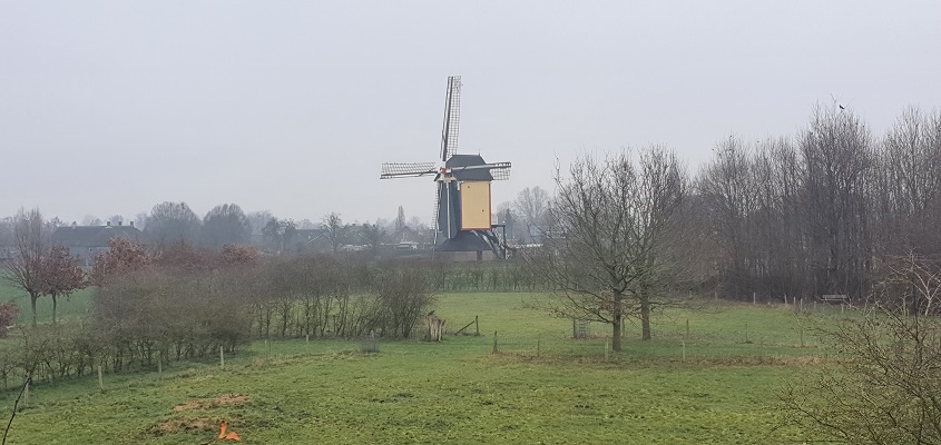 Wandeling over Trage Tocht Nederasselt bij standermolen Zeldenrust in Overasselt