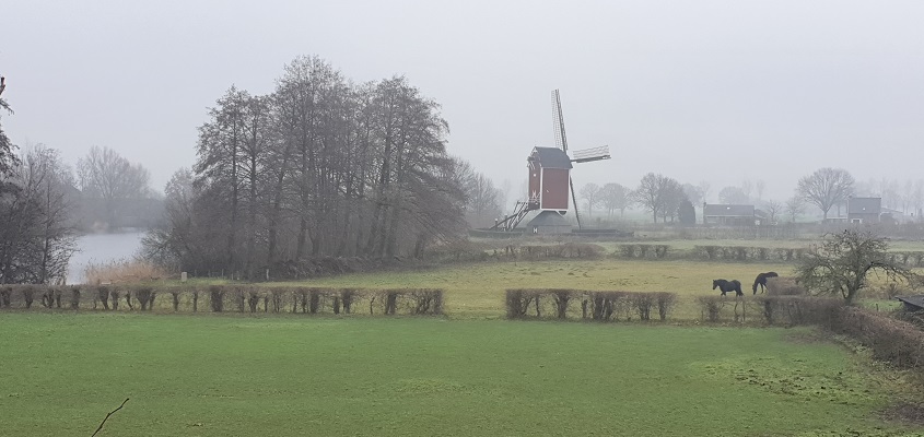 Wandeling over Trage Tocht Nederasselt bij de Maasmolen
