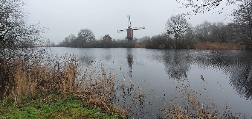 Wandeling over Trage Tocht Nederasselt bij de Maasmolen