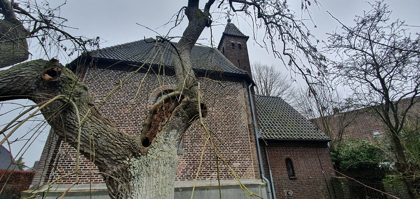 Wandeling over Trage Tocht Nederasselt bij de Maasmolen bij de Hervormde Kerk