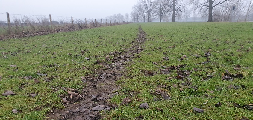 Wandeling over Trage Tocht Nederasselt