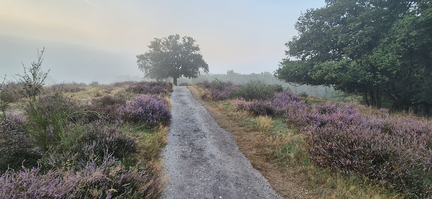 Trage Tocht Plasmolen 2