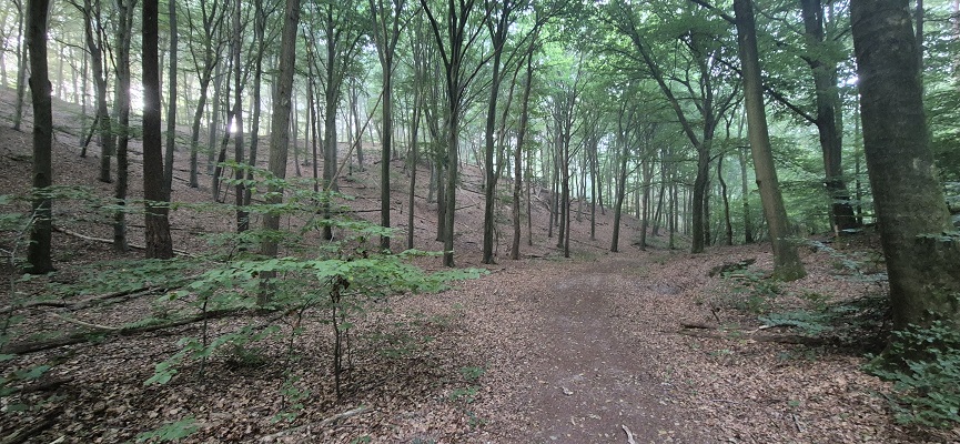Trage Tocht Plasmolen 2