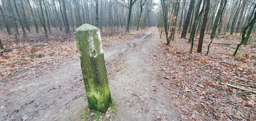 Wandeling over Trage Tocht Schwalmen in het Diergardtscher Wald