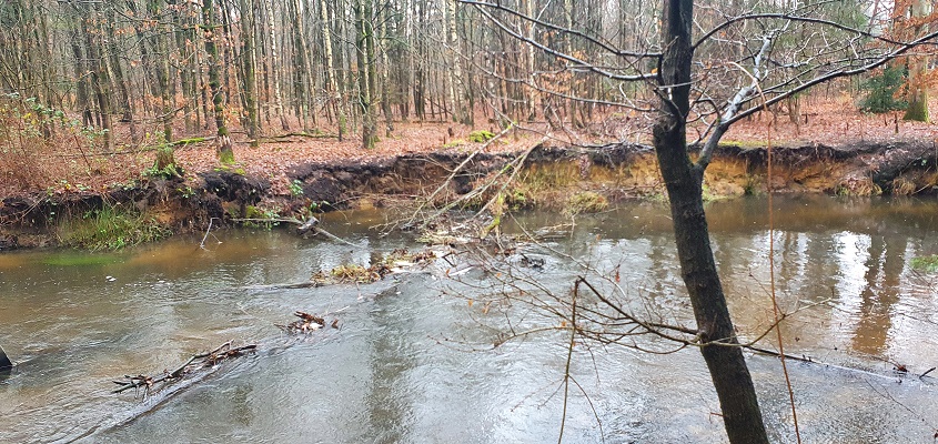 Wandeling over Trage Tocht Schwalmen bij het riviertje de Schwalm
