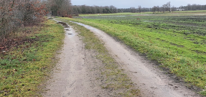 Wandeling over Turfstekerspad in America