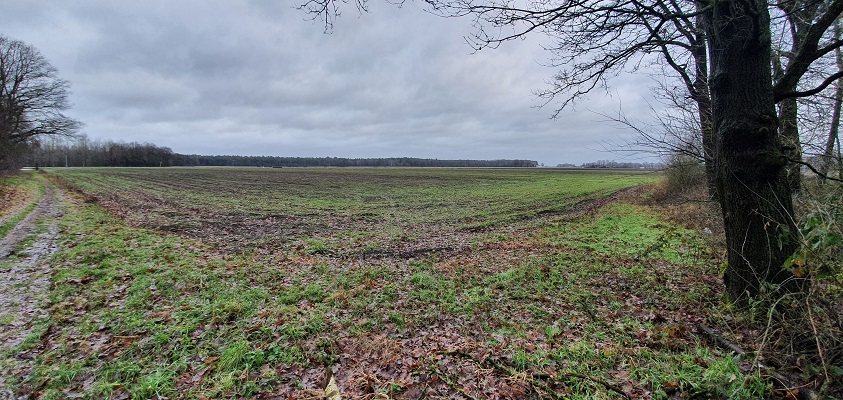 Wandeling over Turfstekerspad in America