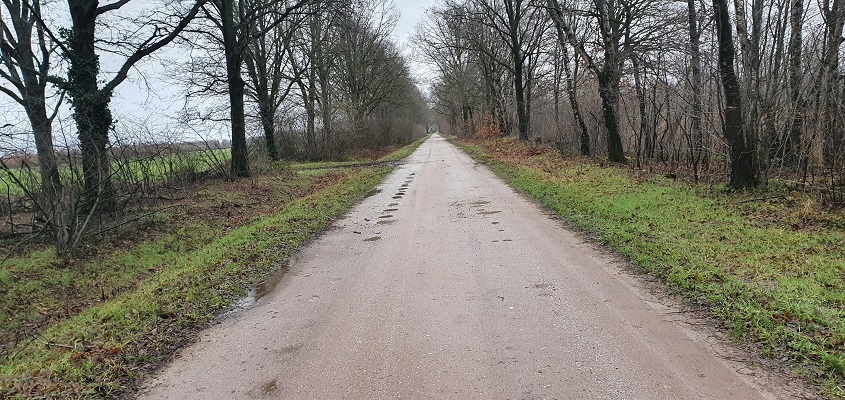 Wandeling over Turfstekerspad in America