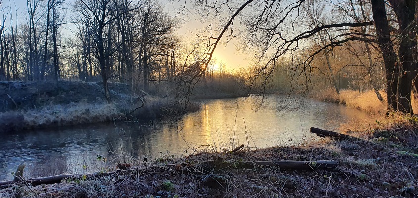 Wandelen in de omgeving van Den Bosch - Vughtse Lunetten bij Kamp Vught