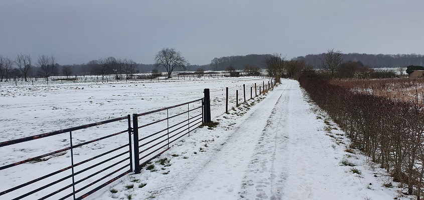 Wandeling over Klompenpad Wageningse Engpad